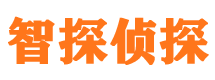 大兴安岭市场调查